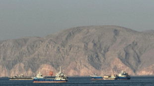 Erleichterung und Skepsis nach Einigung auf Rahmenabkommen f&uuml;r Ende von Iran-Krieg