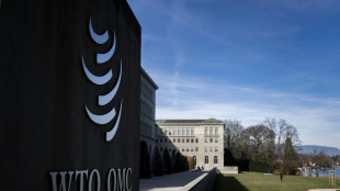 WTO must 'reform or die': talks facilitator