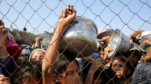 Hilfsorganisationen fordern humanitären Krisengipfel zu Gaza im Kanzleramt