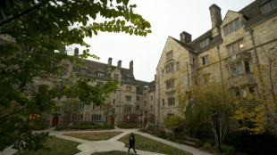 Investigadores de Yale identifican campos rusos adonde fueron trasladados niños ucranianos