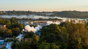 La OPS alerta ante la propagaci&oacute;n de casos de chikungu&ntilde;a en el continente americano