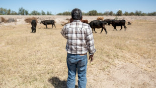 EEUU revisará en México las medidas contra la plaga del gusano barrenador