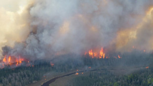 Humaredas de incendios forestales en Canadá llegan a Europa