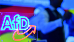 Karlsruhe lässt AfD-Beschwerde gegen Urteil zu Dreyer in Rheinland-Pfalz nicht zu