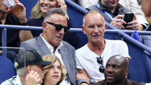 Sting: frente a las divisiones, "el arte es una máquina de empatía"