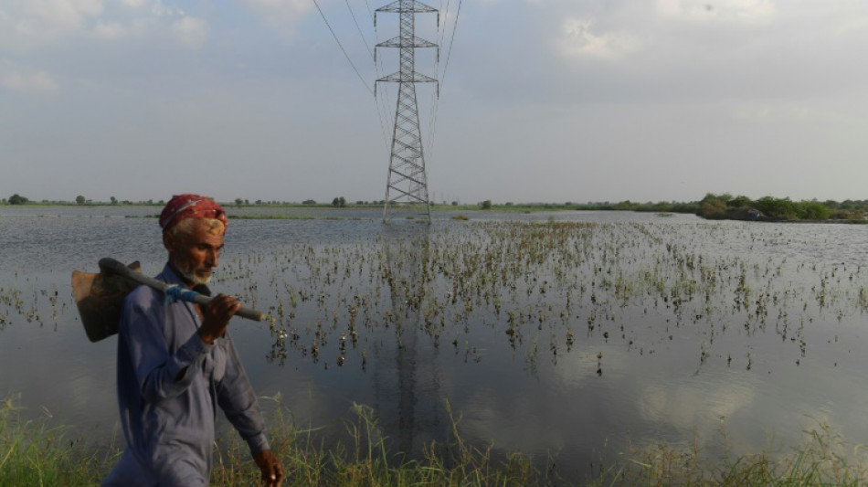 "Retrocedimos 50 años", lamentan agricultores de Pakistán tras inundaciones