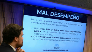 Una comisión parlamentaria concluye que Milei cometió "presunta estafa" con una criptomoneda