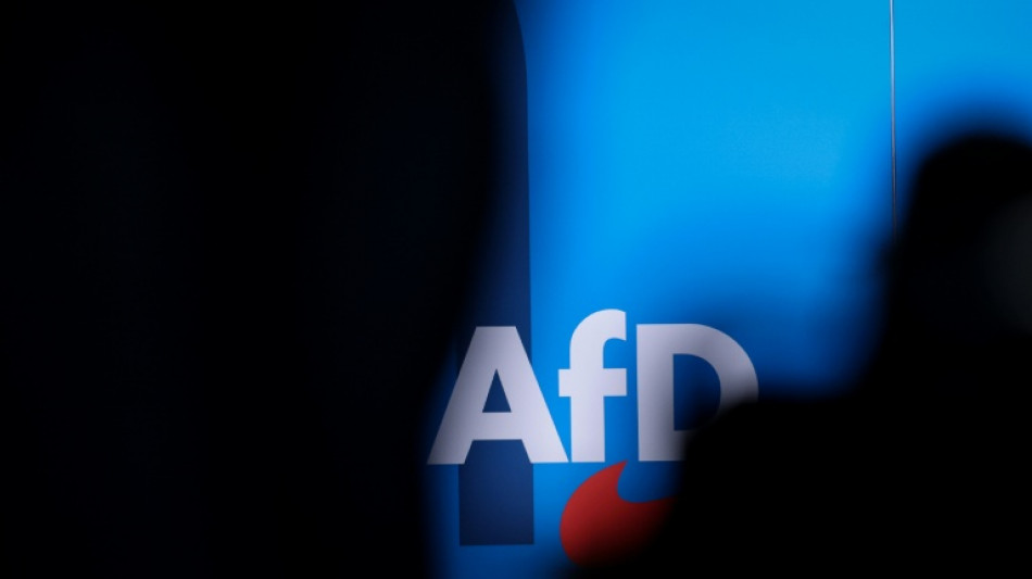 Gericht erlaubt AfD-Termin in Ettlingen und verbietet vorsorglich Auftritt Sellners