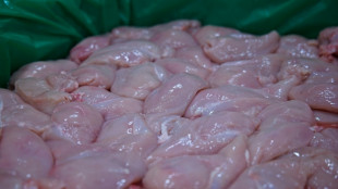 Eine Tonne ungek&uuml;hltes H&auml;hnchenfleisch in Nordrhein-Westfalen beschlagnahmt