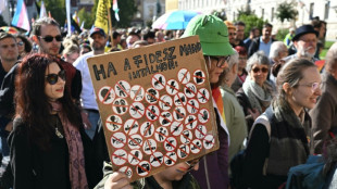 Miles de personas desafían en Hungría la prohibición de una marcha del orgullo