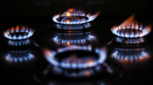 I futures su gas rimbalzano a 74,6 euro al megawattora