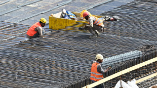 Aumentano le imprese in Italia dell'1% nel 2025, meno chiusure