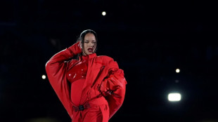US-Medien: Sch&uuml;sse auf Rihannas Haus in Los Angeles 