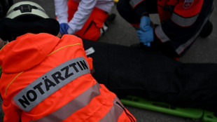 Verletzte bei Kutschenunfall in Thüringen - Flüchtendes Pferd beschädigt Häuser