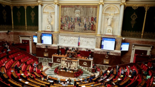 L'Assemblée nationale adopte à l'unanimité une résolution contre l'accord UE-Mercosur avant des votes clés européens