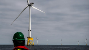 North Sea nations look to wind to resist Russian energy 'blackmail'