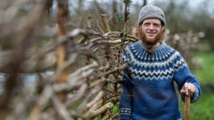 La "vraie richesse" selon Samuel Lewis, paysan-artiste installé en Bretagne