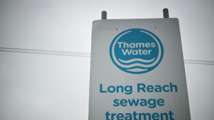 Royaume-Uni: Thames Water, en difficulté, devra se contenter de hausses de prix diluées