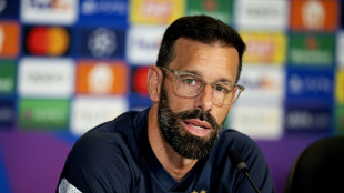 Van Nistelrooy to rejoin Dutch coaching team for World Cup