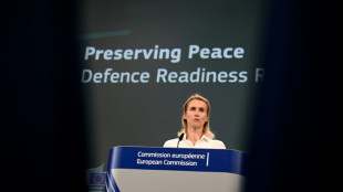 UE defende seu projeto de 'muro' antidrones frente &agrave; amea&ccedil;a russa