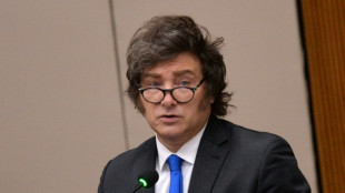 Argentina's Milei says 'political panic' rattling markets