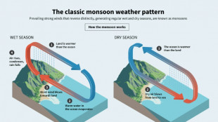 South Asia monsoon: climate change's dangerous impact on lifeline rains
