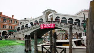 Le Grand Canal de Venise teint en vert par des militants écologistes