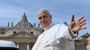 Papa Le&atilde;o XIV pede 'coragem' &agrave;queles que trabalham para promover plano de paz para Gaza