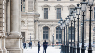 Louvre, 'i due fermati stavano fuggendo in Algeria e Mali'