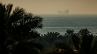 Fear, boredom for Philippine sailors stuck in Hormuz strait