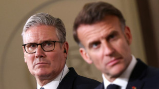 France, UK to lead 'defensive' force for Hormuz