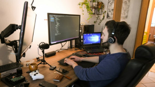 Ifo: Anteil von Beschäftigten im Homeoffice im April bei 25 Prozent