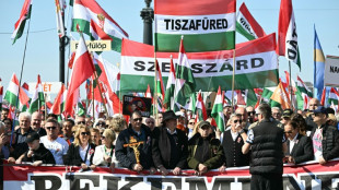 Zehntausende Anh&auml;nger Orbans demonstrieren vor Parlamentswahl in Ungarn