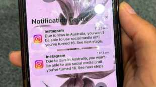 Australia bans under-16s from social media in world-first crackdown