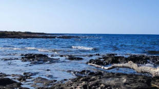 Il Golfo di Napoli nasconde una grande scogliera corallina