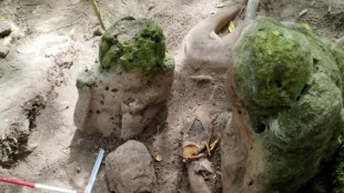 Des archéologues ont découvert au Guatemala des vestiges d'une cité maya de 2.800 ans