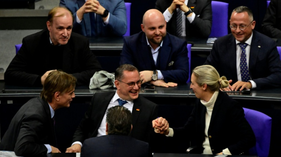 AfD-Abgeordnete reisen zu Gesprächen mit Trump-Partei in die USA