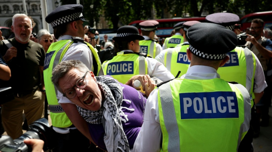 Más de 350 detenidos en Londres en una manifestación de apoyo a una organización propalestina prohibida