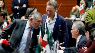 Congresistas de México viajarán a EEUU para intentar frenar el impuesto a las remesas