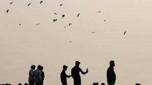 Huawei-Ausschluss von Mobilfunknetz: EuGH-Gutachten st&auml;rkt Politik den R&uuml;cken