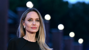 Angelina Jolie visits Ukrainian frontline city, media reports say