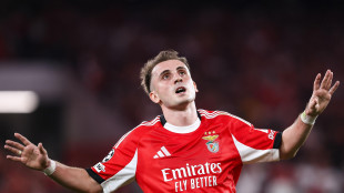 Champions: anche Benfica,Bruges e Copenaghen a fase 'campionato'