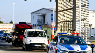 Presidenza Ue, 'funerale di Stato per Mladic sarebbe inaccettabile'