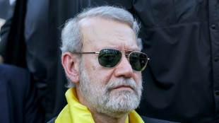 The veteran 'insider' shaping Iran's nuclear policy
