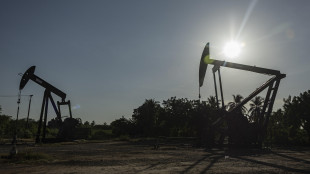 Il petrolio torna a salire, +1,98% a 100,66 dollari