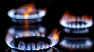 Il gas apre in leggero rialzo sul mercato di Amsterdam (+0,3%)