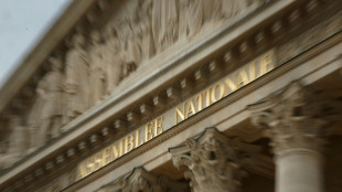 Santé à la diète, réforme des retraites: un budget de la Sécu inflammable arrive à l'Assemblée