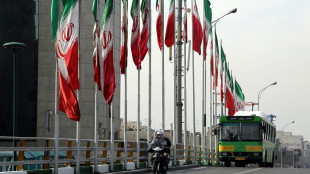 Amb. iraniano a Mosca, 'Putin visiterà presto Teheran'