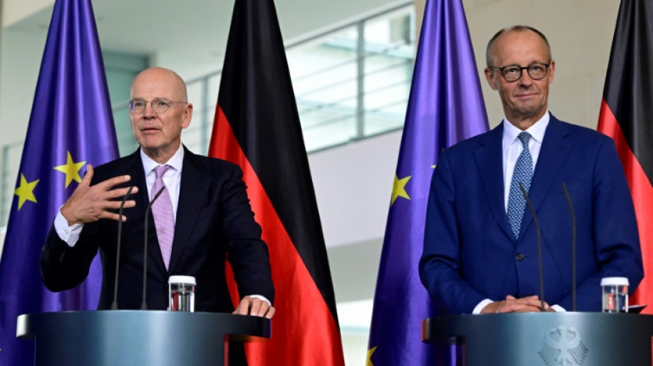 Merz tasks banker with luring investment to Germany