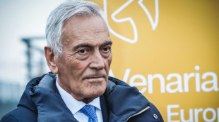 Gravina 'niente alibi, qualificazione Mondiale è fondamentale'